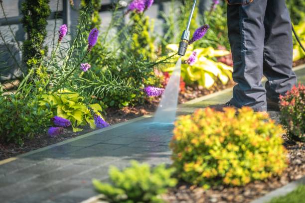 Best Winterizing Services  in Manhasset, NY